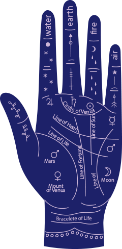 Palm Illustration